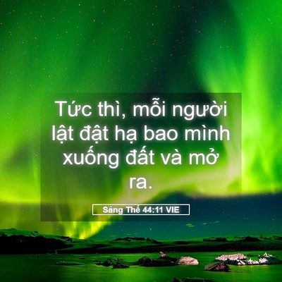 Picture 05 - Sáng Thế 44:11 VIE - Tức thì, mỗi người lật đật hạ bao - Bible Verse Picture