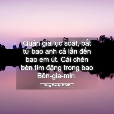 Picture 05 - Sáng Thế 44:12 VIE - Quản gia lục soát, bắt từ bao anh cả - Bible Verse Picture