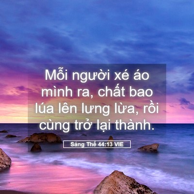 Picture 05 - Sáng Thế 44:13 VIE - Mỗi người xé áo mình ra, chất bao lúa - Bible Verse Picture