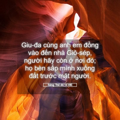 Picture 05 - Sáng Thế 44:14 VIE - Giu-đa cùng anh em đồng vào đến nhà - Bible Verse Picture