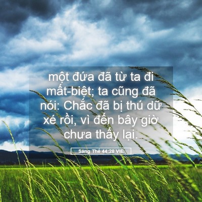 Picture 05 - Sáng Thế 44:28 VIE - một đứa đã từ ta đi mất-biệt; ta - Bible Verse Picture