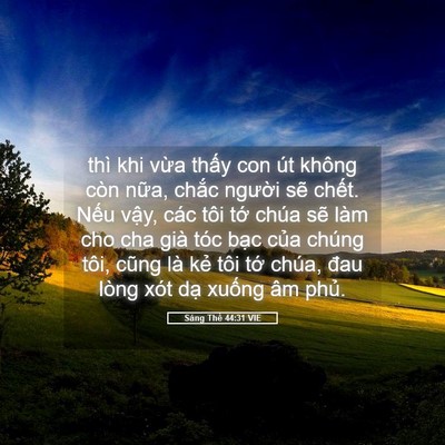 Picture 05 - Sáng Thế 44:31 VIE - thì khi vừa thấy con út không còn nữa, - Bible Verse Picture