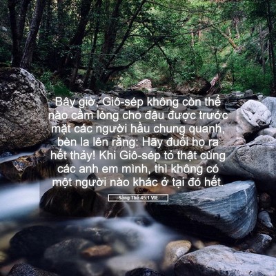 Picture 05 - Sáng Thế 45:1 VIE - Bây giờ, Giô-sép không còn thể nào - Bible Verse Picture