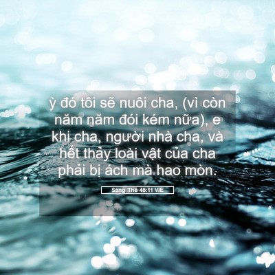 Picture 05 - Sáng Thế 45:11 VIE - ỳ đó tôi sẽ nuôi cha, (vì còn năm năm - Bible Verse Picture