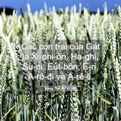 Picture 05 - Sáng Thế 46:16 VIE - Các con trai của Gát là Xi-phi-ôn, Ha-ghi, - Bible Verse Picture