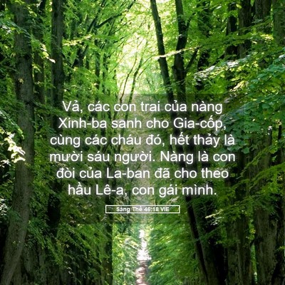 Picture 05 - Sáng Thế 46:18 VIE - Vả, các con trai của nàng Xinh-ba sanh cho - Bible Verse Picture