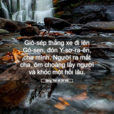Picture 05 - Sáng Thế 46:29 VIE - Giô-sép thắng xe đi lên Gô-sen, đón - Bible Verse Picture