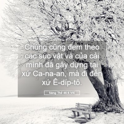 Picture 05 - Sáng Thế 46:6 VIE - Chúng cũng đem theo các súc vật và của - Bible Verse Picture