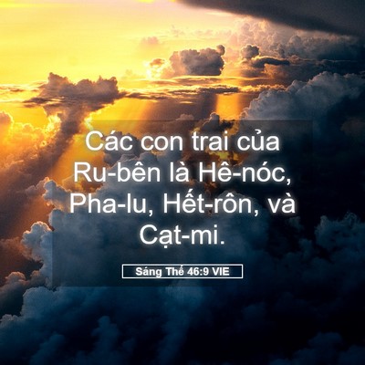 Picture 05 - Sáng Thế 46:9 VIE - Các con trai của Ru-bên là Hê-nóc, Pha-lu, - Bible Verse Picture
