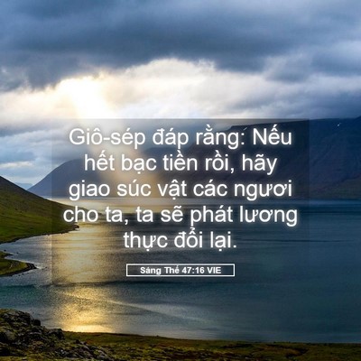 Picture 05 - Sáng Thế 47:16 VIE - Giô-sép đáp rằng: Nếu hết bạc tiền - Bible Verse Picture