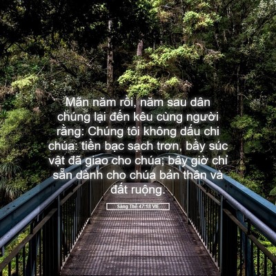 Picture 05 - Sáng Thế 47:18 VIE - Mãn năm rồi, năm sau dân chúng lại - Bible Verse Picture