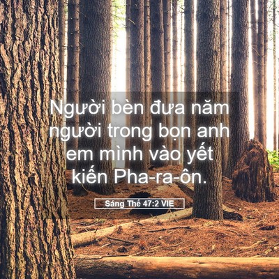 Picture 05 - Sáng Thế 47:2 VIE - Người bèn đưa năm người trong bọn anh - Bible Verse Picture