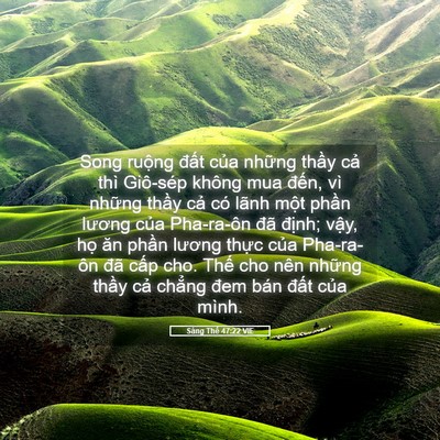 Picture 05 - Sáng Thế 47:22 VIE - Song ruộng đất của những thầy cả - Bible Verse Picture
