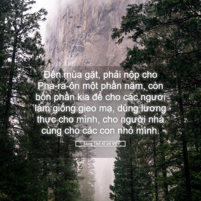 Picture 05 - Sáng Thế 47:24 VIE - Đến mùa gặt, phải nộp cho Pha-ra-ôn - Bible Verse Picture