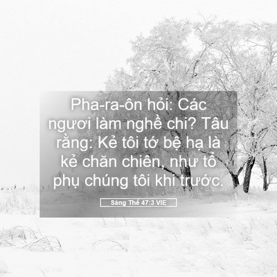 Picture 05 - Sáng Thế 47:3 VIE - Pha-ra-ôn hỏi: Các ngươi làm nghề chi? - Bible Verse Picture
