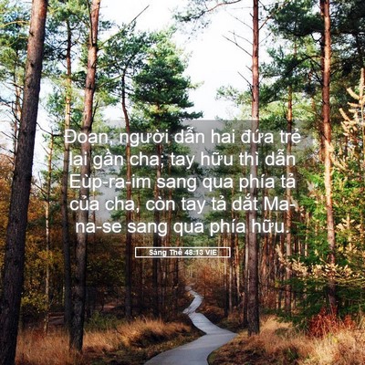 Picture 05 - Sáng Thế 48:13 VIE - Đoạn, người dẫn hai đứa trẻ lại - Bible Verse Picture
