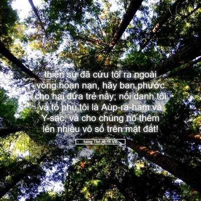 Picture 05 - Sáng Thế 48:16 VIE - thiên sứ đã cứu tôi ra ngoài vòng - Bible Verse Picture
