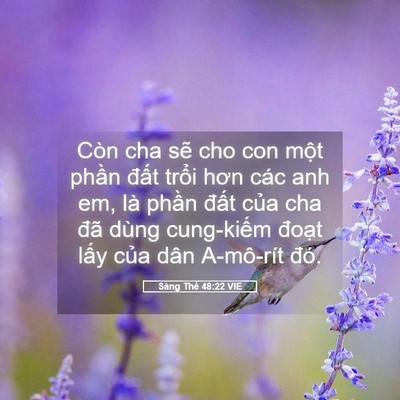 Picture 05 - Sáng Thế 48:22 VIE - Còn cha sẽ cho con một phần đất trổi - Bible Verse Picture