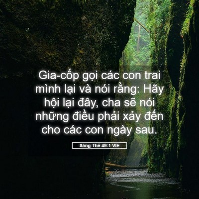 Picture 05 - Sáng Thế 49:1 VIE - Gia-cốp gọi các con trai mình lại và - Bible Verse Picture
