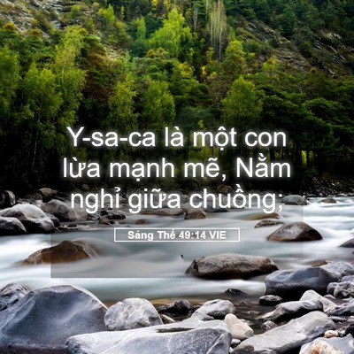 Picture 05 - Sáng Thế 49:14 VIE - Y-sa-ca là một con lừa mạnh mẽ, Nằm - Bible Verse Picture