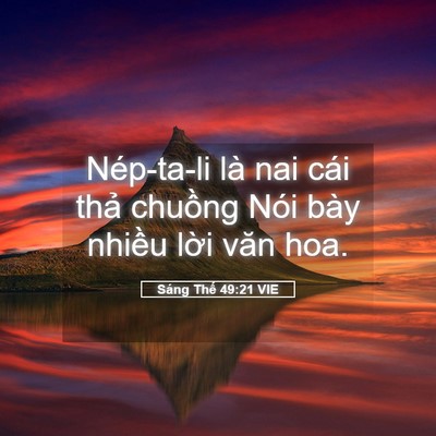 Picture 05 - Sáng Thế 49:21 VIE - Nép-ta-li là nai cái thả chuồng Nói bày - Bible Verse Picture
