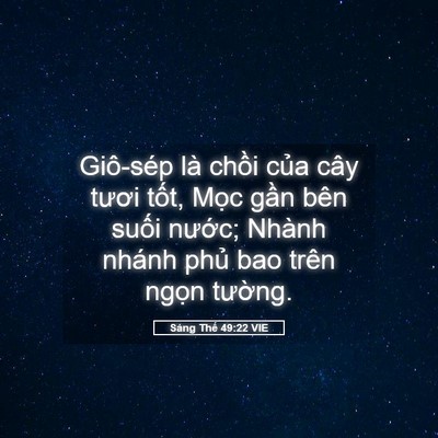 Picture 05 - Sáng Thế 49:22 VIE - Giô-sép là chồi của cây tươi tốt, - Bible Verse Picture