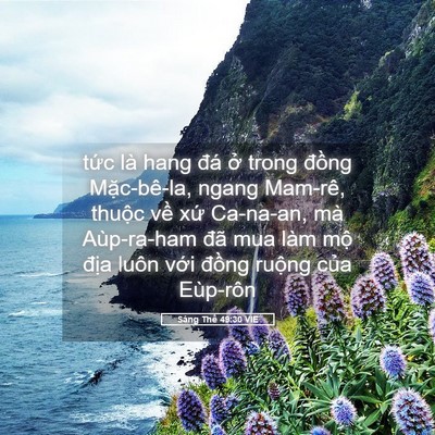 Picture 05 - Sáng Thế 49:30 VIE - tức là hang đá ở trong đồng - Bible Verse Picture