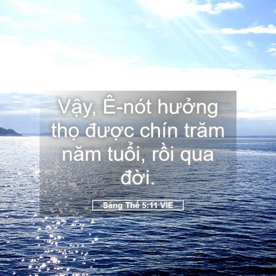 Picture 05 - Sáng Thế 5:11 VIE - Vậy, Ê-nót hưởng thọ được chín - Bible Verse Picture