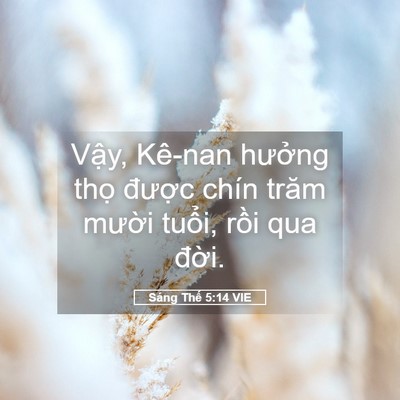 Picture 05 - Sáng Thế 5:14 VIE - Vậy, Kê-nan hưởng thọ được chín - Bible Verse Picture