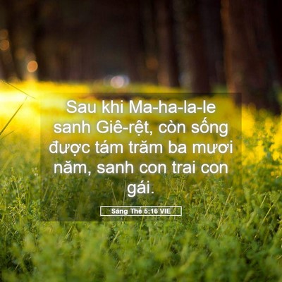 Picture 05 - Sáng Thế 5:16 VIE - Sau khi Ma-ha-la-le sanh Giê-rệt, còn sống - Bible Verse Picture
