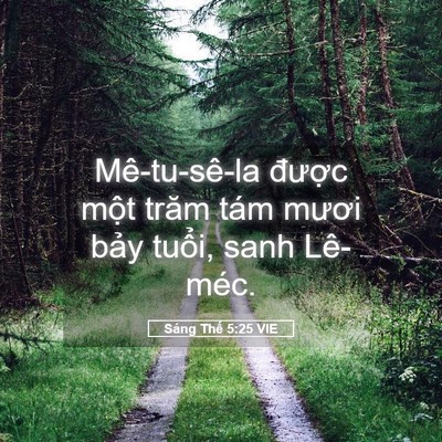 Picture 05 - Sáng Thế 5:25 VIE - Mê-tu-sê-la được một trăm tám mươi - Bible Verse Picture