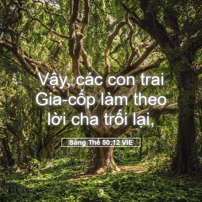 Picture 05 - Sáng Thế 50:12 VIE - Vậy, các con trai Gia-cốp làm theo lời - Bible Verse Picture