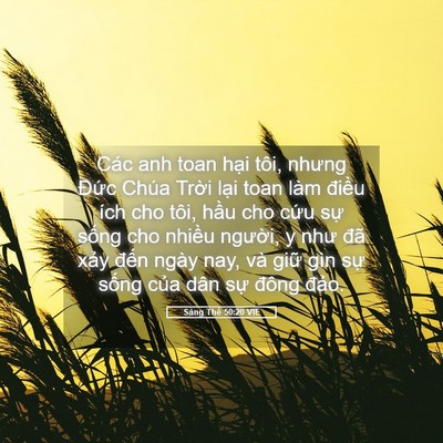 Picture 05 - Sáng Thế 50:20 VIE - Các anh toan hại tôi, nhưng Đức Chúa - Bible Verse Picture