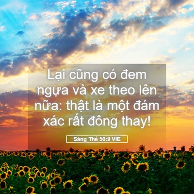Picture 05 - Sáng Thế 50:9 VIE - Lại cũng có đem ngựa và xe theo lên - Bible Verse Picture