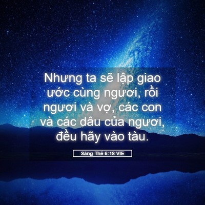 Picture 05 - Sáng Thế 6:18 VIE - Nhưng ta sẽ lập giao ước cùng ngươi, - Bible Verse Picture