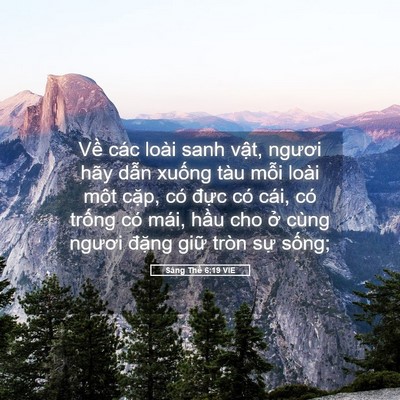 Picture 05 - Sáng Thế 6:19 VIE - Về các loài sanh vật, ngươi hãy dẫn - Bible Verse Picture