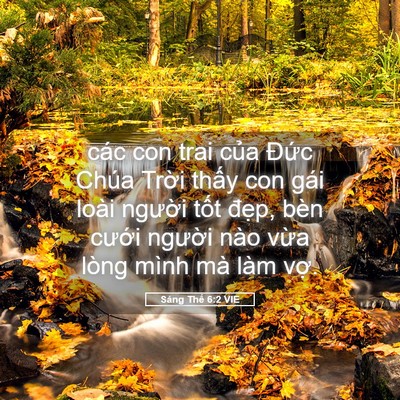 Picture 05 - Sáng Thế 6:2 VIE - các con trai của Đức Chúa Trời thấy - Bible Verse Picture