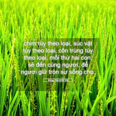 Picture 05 - Sáng Thế 6:20 VIE - chim tùy theo loại, súc vật tùy theo - Bible Verse Picture