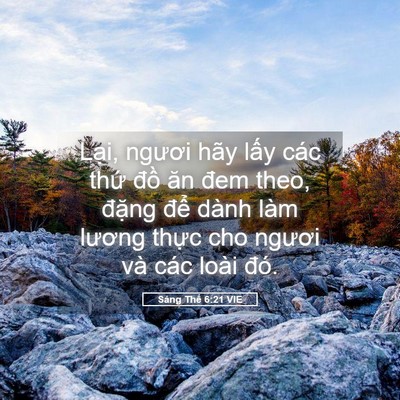 Picture 05 - Sáng Thế 6:21 VIE - Lại, ngươi hãy lấy các thứ đồ ăn - Bible Verse Picture