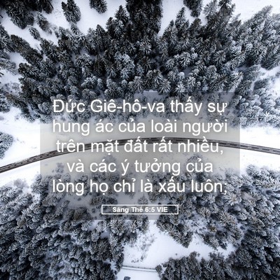 Picture 05 - Sáng Thế 6:5 VIE - Đức Giê-hô-va thấy sự hung ác của - Bible Verse Picture