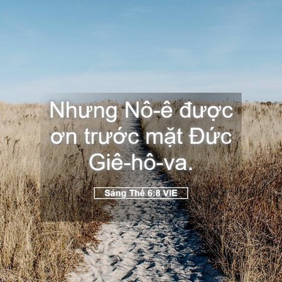 Picture 05 - Sáng Thế 6:8 VIE - Nhưng Nô-ê được ơn trước mặt Đức - Bible Verse Picture
