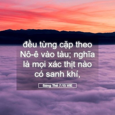 Picture 05 - Sáng Thế 7:15 VIE - đều từng cặp theo Nô-ê vào tàu; nghĩa - Bible Verse Picture