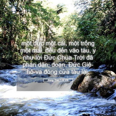 Picture 05 - Sáng Thế 7:16 VIE - một đực một cái, một trống một - Bible Verse Picture