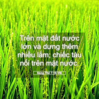 Picture 05 - Sáng Thế 7:18 VIE - Trên mặt đất nước lớn và dưng thêm - Bible Verse Picture