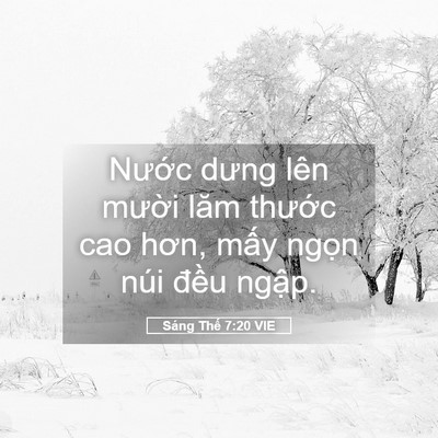 Picture 05 - Sáng Thế 7:20 VIE - Nước dưng lên mười lăm thước cao - Bible Verse Picture