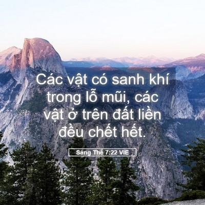 Picture 05 - Sáng Thế 7:22 VIE - Các vật có sanh khí trong lỗ mũi, các - Bible Verse Picture