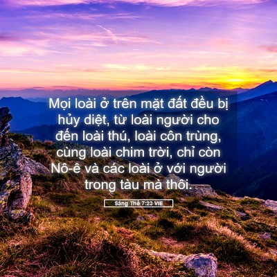 Picture 05 - Sáng Thế 7:23 VIE - Mọi loài ở trên mặt đất đều bị - Bible Verse Picture