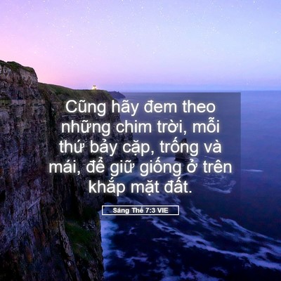 Picture 05 - Sáng Thế 7:3 VIE - Cũng hãy đem theo những chim trời, mỗi - Bible Verse Picture