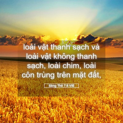 Picture 05 - Sáng Thế 7:8 VIE - loài vật thanh sạch và loài vật không - Bible Verse Picture