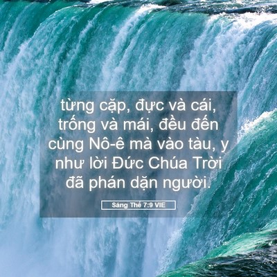 Picture 05 - Sáng Thế 7:9 VIE - từng cặp, đực và cái, trống và mái, - Bible Verse Picture